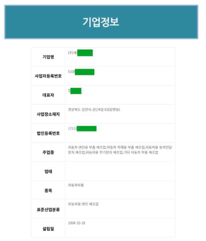 컨설팅 보고서 - 기업정보