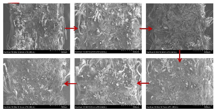 3차 개발 난연제와 적용 부직포의 SEM 관찰