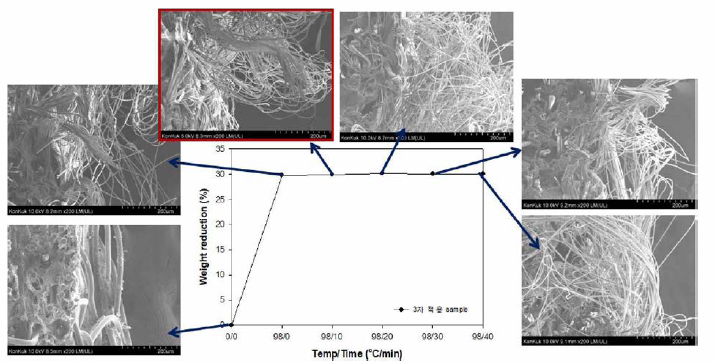 3차 개발 난연제 적용 부직포 표면의 SEM 관찰