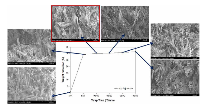4차 개발 난연제 적용 부직포 내부의 SEM 관찰