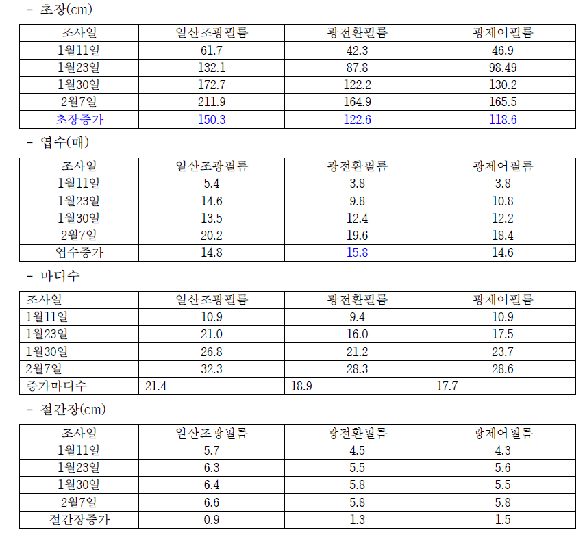 참외 초기 생장특성