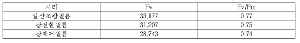 형광 광합성 특성(3월 중)