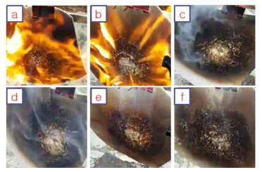 각각의 수지에 대한 화염 비교 실험