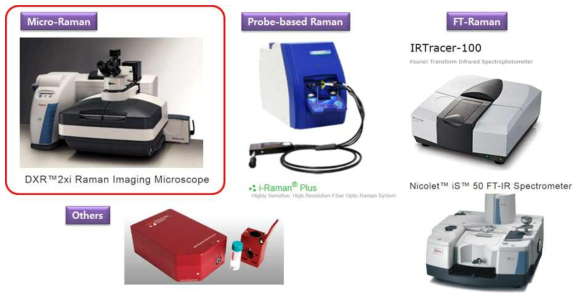 Raman spectroscopy ; Instrument type 별 시장 구분