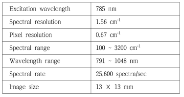텔레센트릭 기반의 라인스캔 라만 스펙트로스코피 광학계 스펙
