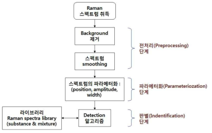 라만 스펙트럼 판별 단계