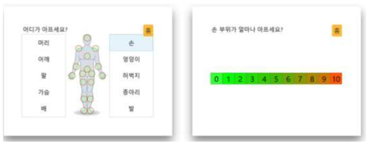 통증 정보 입력의 시각화