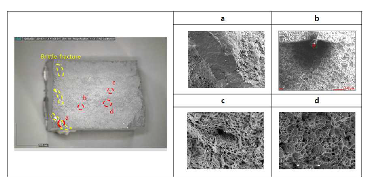 용접시편 파단면 SEM 분석 결과