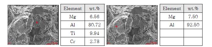 central burst에 대한 SEM/EDS 분석 결과