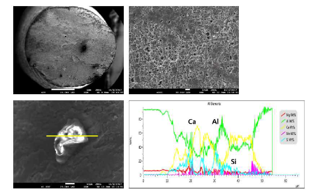 AlMg_K21 대직경 개발 와이어 파면 SEM/EDS 분석 결과