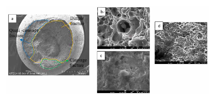 (a) 선진사 소직경 상용 와이어 파면 SEM 이미지, (b) Dimple fracture, (c) Cleavage fracture, (d) quasi-cleavage fracture