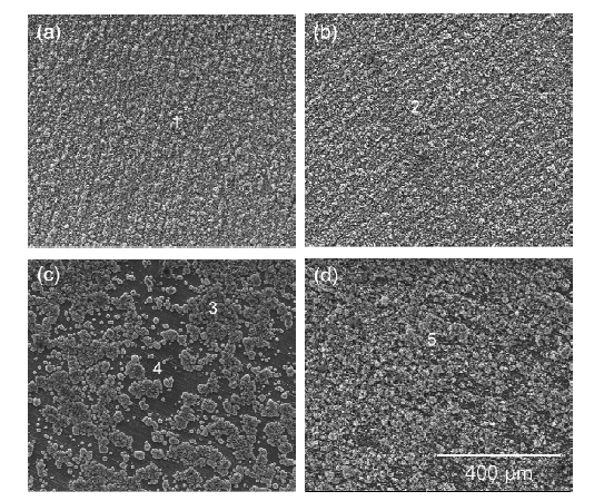 주사전자현미경에 의한 500℃, Dry air 조건에서 산화된 시료별 산화표면. (a) S10, (b) K10, (c) K11, (d) K31