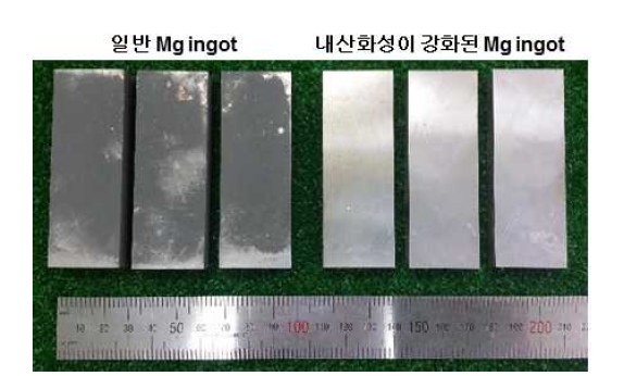 균질화 열처리 후 표면 비교