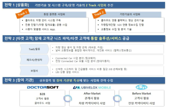 전체시스템의 사업화 추진 전략