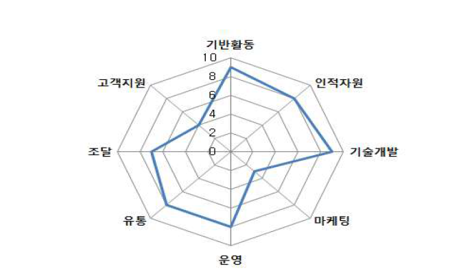 기업 내부역량 평가 결과 (예시)