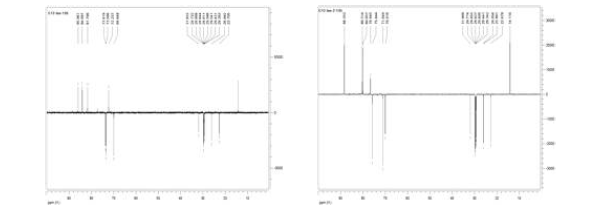 C12-iso 정제물의 DEPT-135 스펙트럼