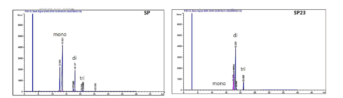 GC chromatogram of SP