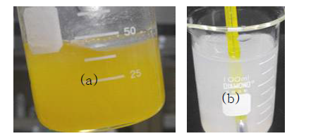 (a) 합성 후 gel형태의 모습, (b) 1%CP 상온