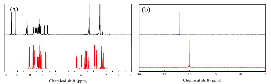ODOPO 및 ODOPO-EPI의 1H-NMR과 31P-NMR 결과