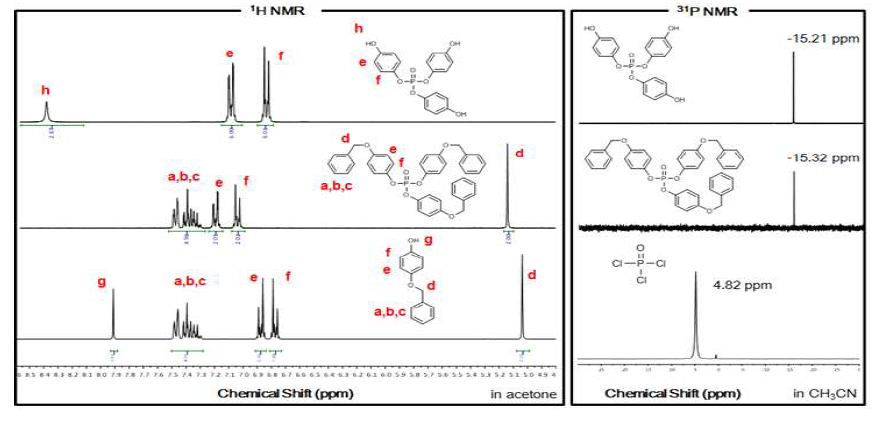 TPP와 중간체의 1H와 31P-NMR