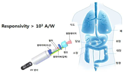 광학적 생체 검사용 UV 센서 성능 요구 조건