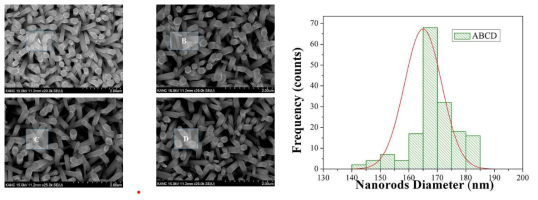(좌측) Cu-Ni 도핑된 부위별 ZnO 나노로드 성장 SEM 사진 및 (우측) 나노로드 직경 분포 히스토그램
