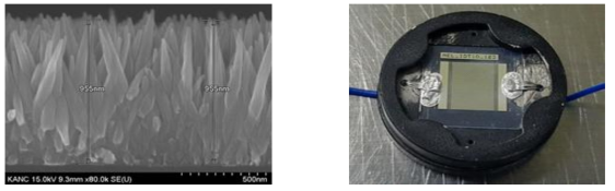 두 금속 전극 간에 성장되는 ZnO 나노로드 SEM이미지와 완성된 소자