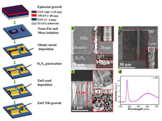 (좌측) NFI 및 MI 구조 센서 소자 공정 단계. (우측) 제작된 (a) NFI 및 (b) MI 구조의 센서 소자 평면 SEM 사진. (c) 게이트 영역에 성장한 ZnO 나노로드의 형상 사진. (d) 센서 소자에 사용된 ZnO 나노로드의 PL 스펙트럼