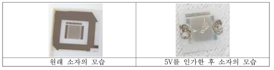 5V 전압을 주었을 때 소자의 변형