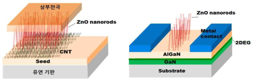 CNT 하부전극 수직형 (좌측) 및 GaN FET (우측) 자외선 감지 센서 구조
