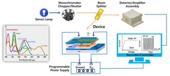 UV센서 소자 측정을 위한 장치 구성