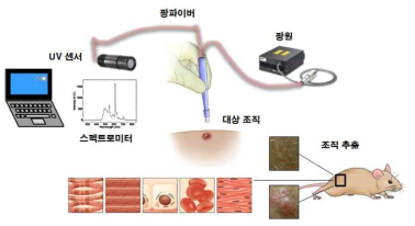 UV 센서 생체조직 감지 특성 셋업 및 절차