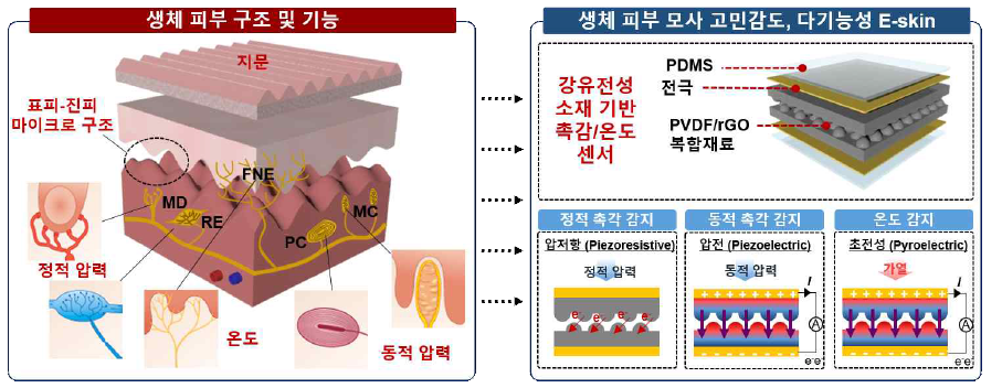 생체 피부 모사 고민감도, 다기능성 e-skin 소자 개발