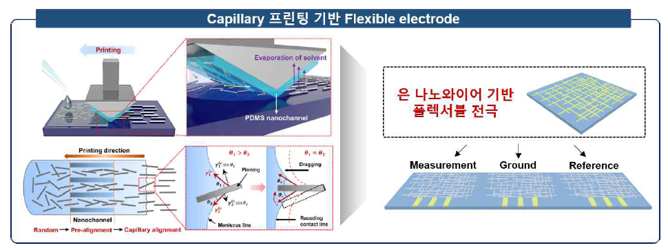 Capillary 프린팅 방법을 통한 은나노와이어 기반 플렉시블 전극 개발