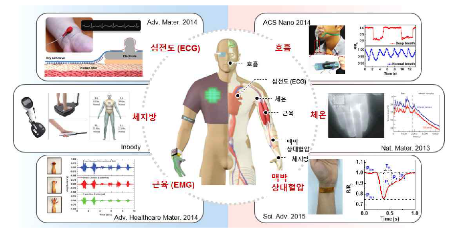 7종 생체 신호 검출 전략 설계