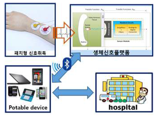 생체신호 플랫폼 및 시스템