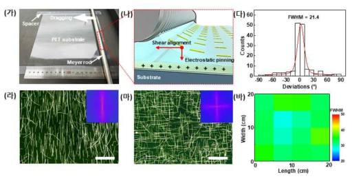 Bar 코팅을 통한 대면적 은 나노와이어 어레이 제작 과정 및 정렬 원리. (가) Bar 코팅에 기반한 은 나노와이어의 대면적 정렬 과정 사진. (나) Bar 코팅에 기반한 은 나노와이어 정렬 원리를 보여주는 모식도. (다) 은 나노와이어들의 정렬 분포를 보여주는 그래프. (라) 한 방향으로 정렬된 은 나노와이어 어레이를 보여주는 암시야 광학 현미경 이미지. 삽입 이미지는 정렬 구조를 정량적으로 보여주는 푸리에 변환 이미지. (마) 교차 정렬된 은 나노와이어 어레이를 보여주는 암시야 광학 현미경 이미지. 삽입 이미지는 교차 정렬된 구조를 정량적으로 보여주는 푸리에 변환 이미지. (바) 대면적으로 고른 반가폭 값을 보여주는 맵핑 이미지