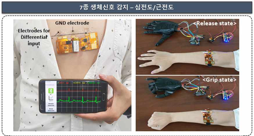 실시간 심전도 모니터링 및 근전도를 이용한 로봇팔 구동