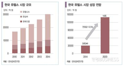 국내 U-health 시장 규모 및 시장 전망 (출처 : 현대경제연구원)