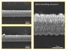 3차원 섬유 표면에 제작된 Buckling structure 미세 구조물