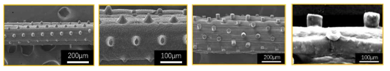 3차원 섬유 표면에 제작된 미세 구조물의 전자현미경 사진