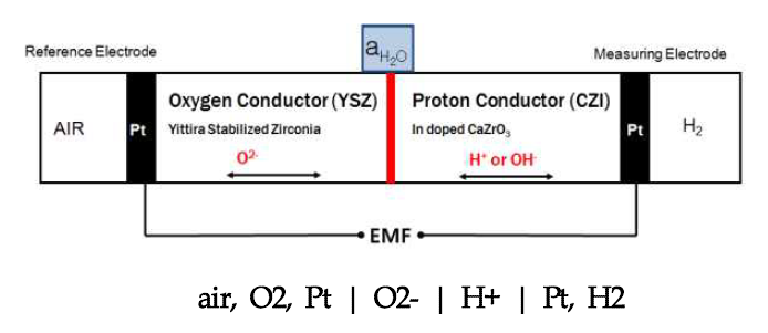 이종접합 고체전해질 수소센서의 구조 및 원리(Park-Rapp probe)