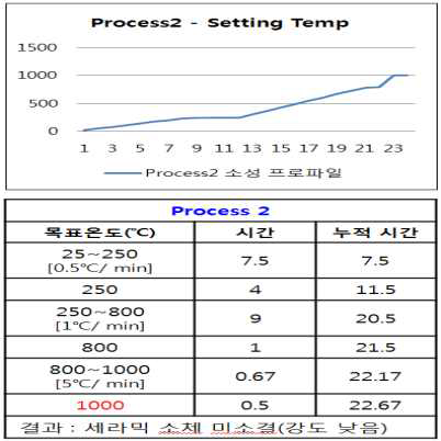 1000℃ 소결 온도 프로파일