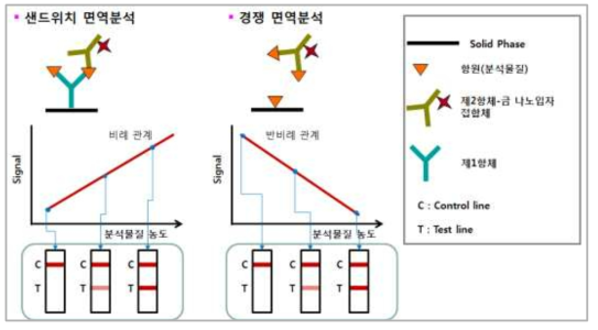 Sandwich 및 Competitive Immunoassay 비교