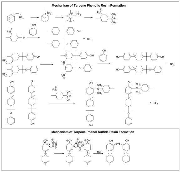 Mechanism of prepolymer of phenol & alpha-pinene