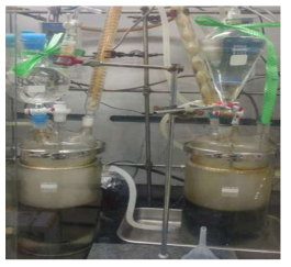 Terpene phenolic resin의 합성 장치