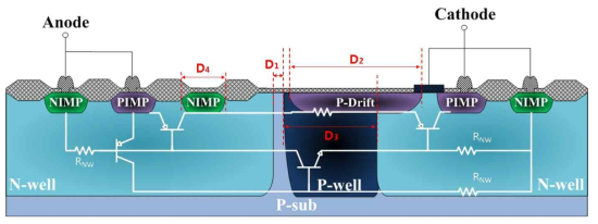 개발된 ESD 보호회로의 단면도