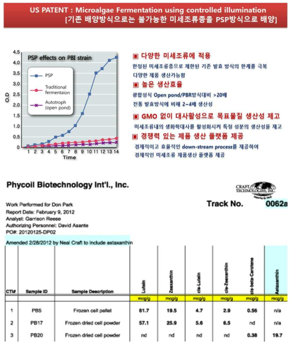 파이코일 생산 기술 및 균주 정보