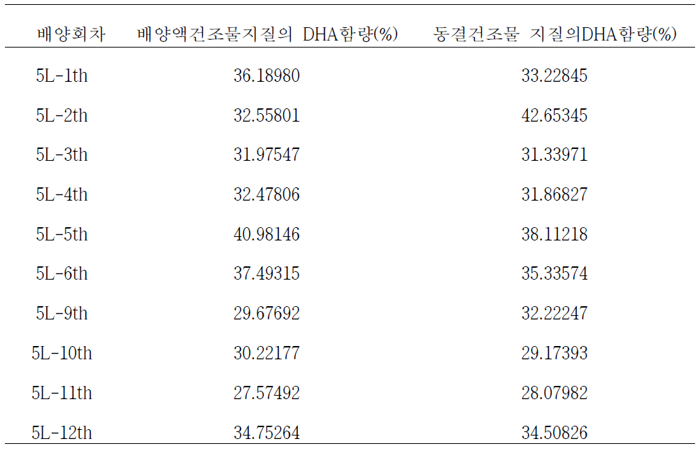 PB-20 균주 배양 결과 (DHA 함량)