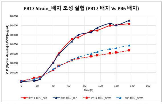 PB-17 균주 배양 결과